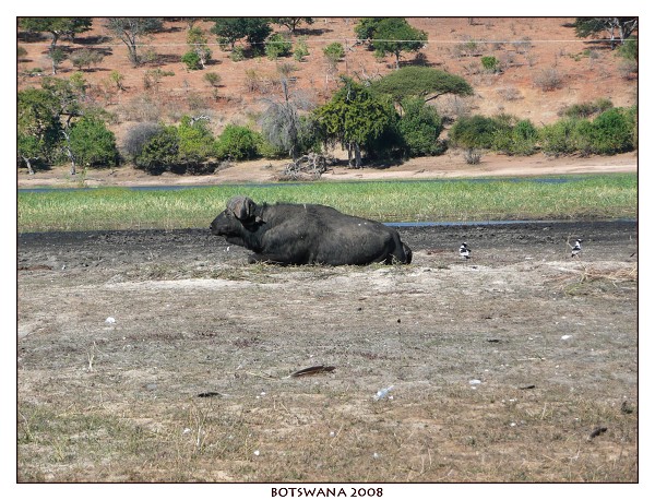 BOTSWANA