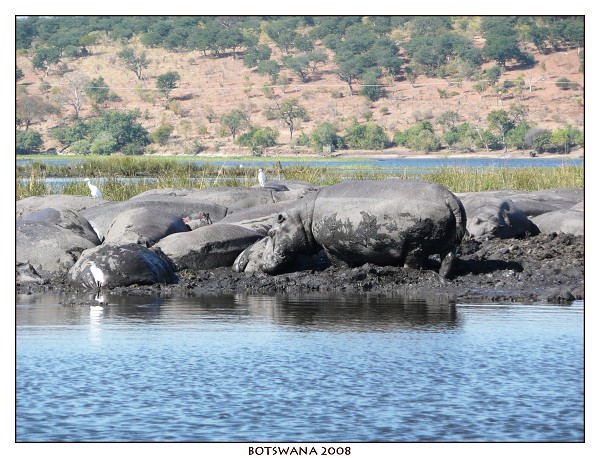 BOTSWANA