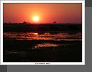 Chobe