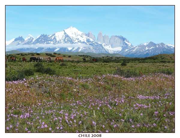 CHILE