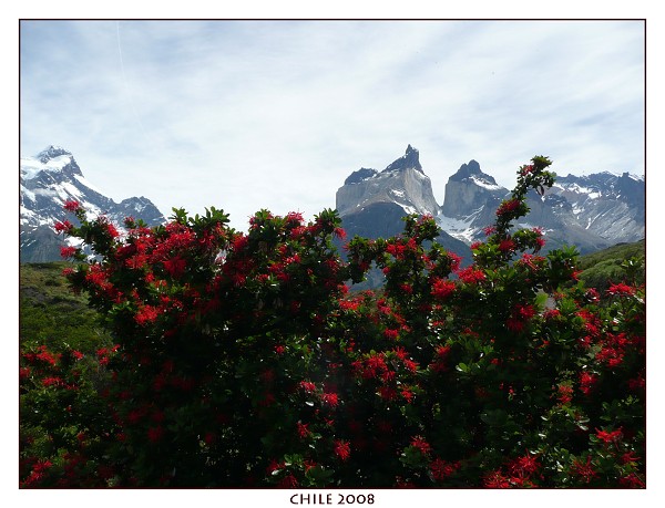 CHILE
