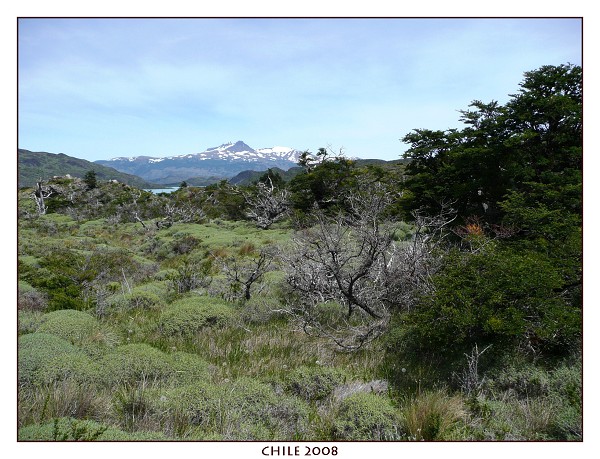 CHILE