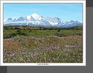 Torres del Paine