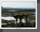 Torres del Paine
