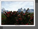 Torres del Paine