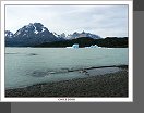 Ledovec Grey