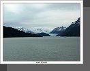 Ledovec Grey