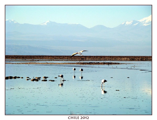 CHILE