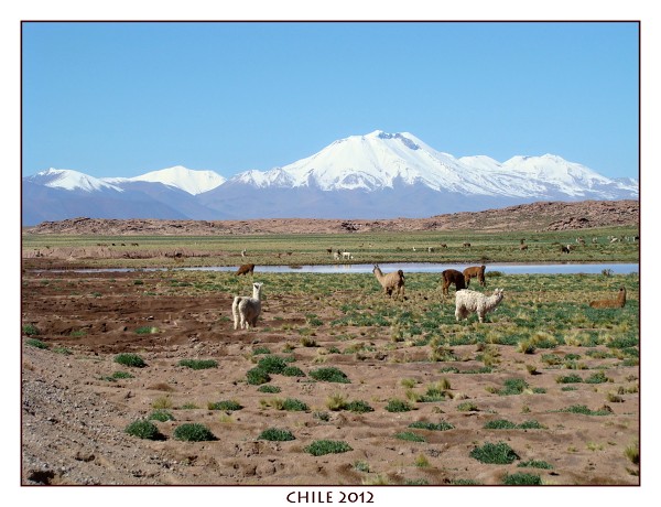 CHILE