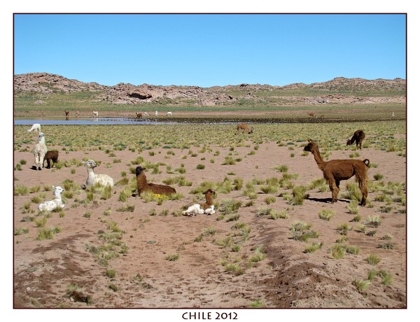 CHILE