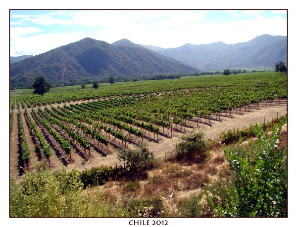 CHILE