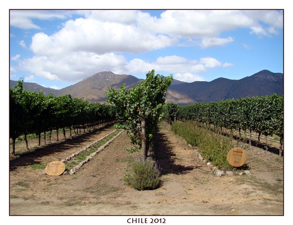 CHILE
