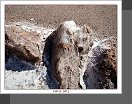 Valle de la Luna