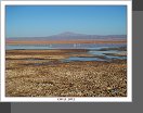 Salar de Atacama