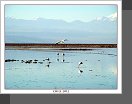 Salar de Atacama