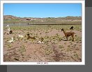 Salar de Atacama