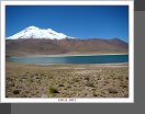 Salar de Atacama