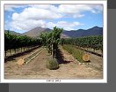Valle de Casablanca