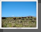 Ahu Te Pito Kura