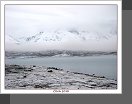 Karakul