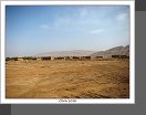 Turfan