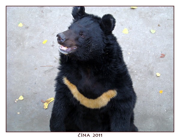 ČÍNA