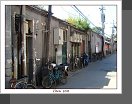 Peking