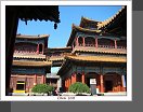 Peking