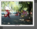 Peking