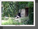 Peking ZOO