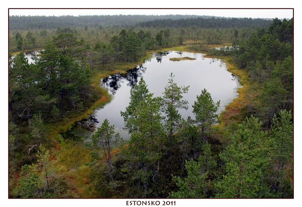 ESTONSKO