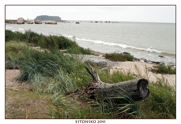 ESTONSKO