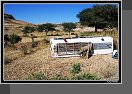Debre Damo