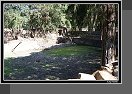 Gondar
