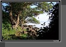 Jezero Tana