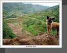 Banaue