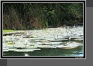 Rio Dulce