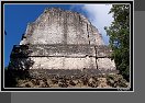 Tikal