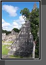 Tikal