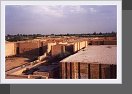 Agarguf