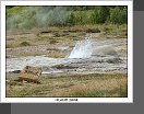 Geysir