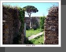 Ostia