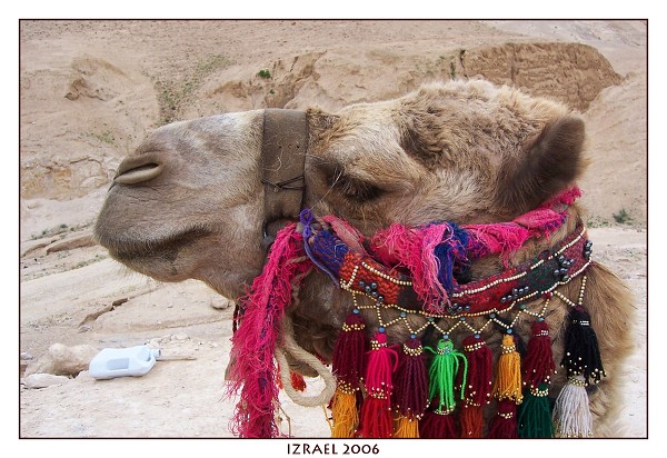 IZRAEL