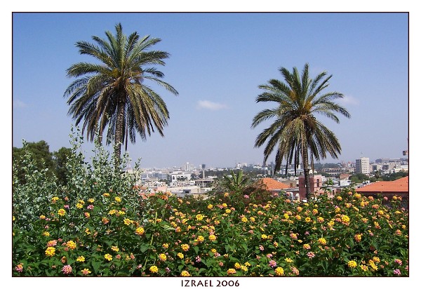 IZRAEL