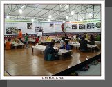 Andong