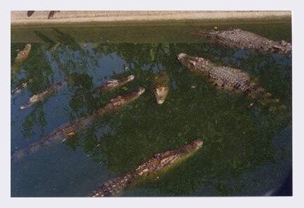 KAMBODŽA