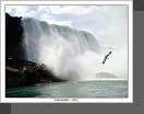 Niagara