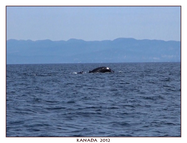 KANADA