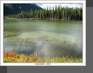 Cassiar Hwy