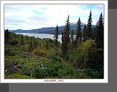 Cassiar Hwy